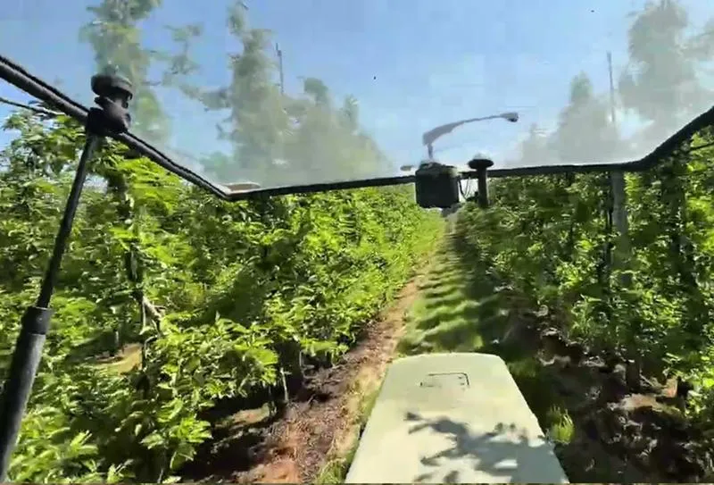 Nowoczesna budowa domów w Jonagoldach – odkryj swoje wymarzone miejsce na ziemi