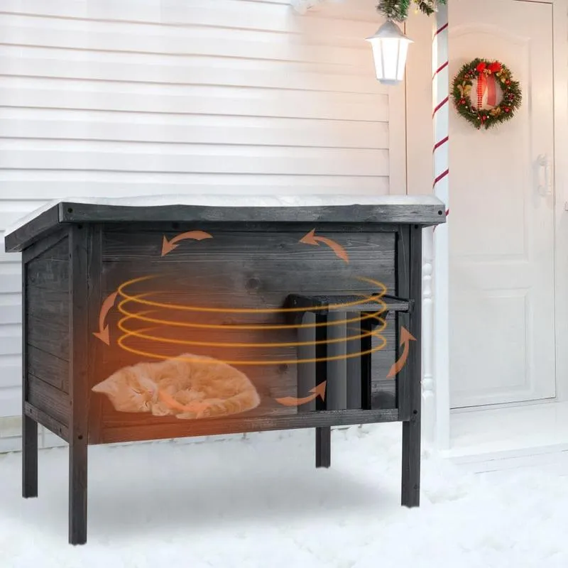 Bezpieczeństwo kota na świeżym powietrzu