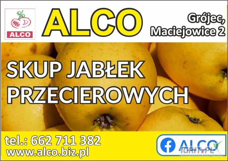 Budowa domów w Jonagoldach