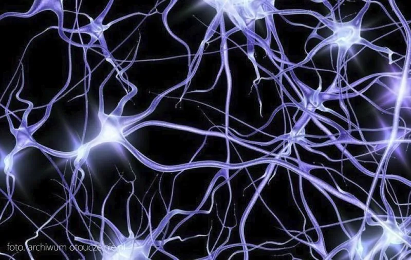 Naukowe podstawy coachingu