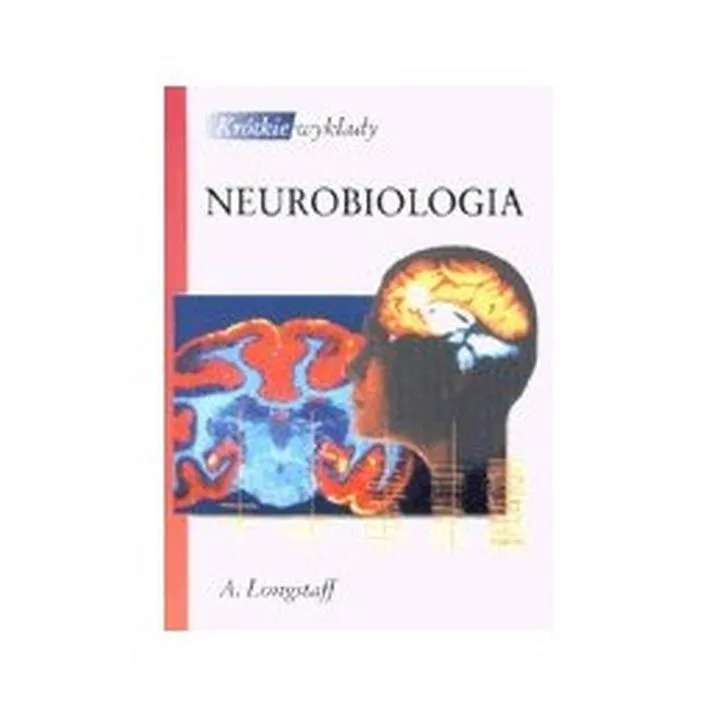 Neurobiologia w coachingu