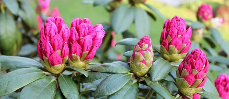 Zielona architektura nowoczesna